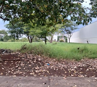 Terreno Industrial en Renta | Parque Industrial Tecnopark, Taxisco