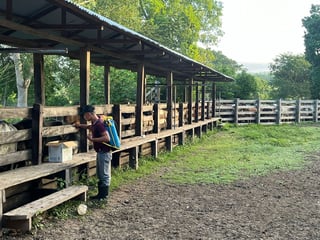 Finca en Venta – San José, Petén - 4