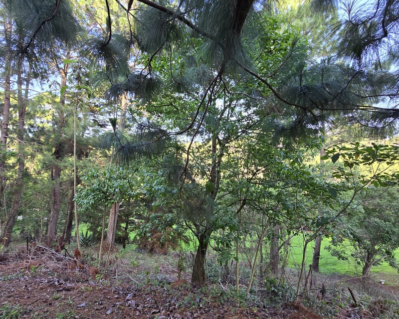 En venta Terreno residencial en zona 16 el Pulte