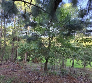En venta Terreno residencial en zona 16 el Pulte