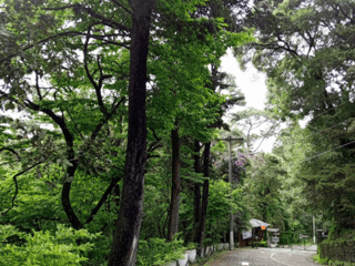 Venta de Terreno en Labor de Castilla, Mixco. - Image 3