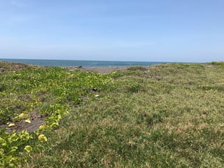 VENDO TERRENO VACACIONAL EN PLAYA RAMA BLANCA SIPACATE - Image 7