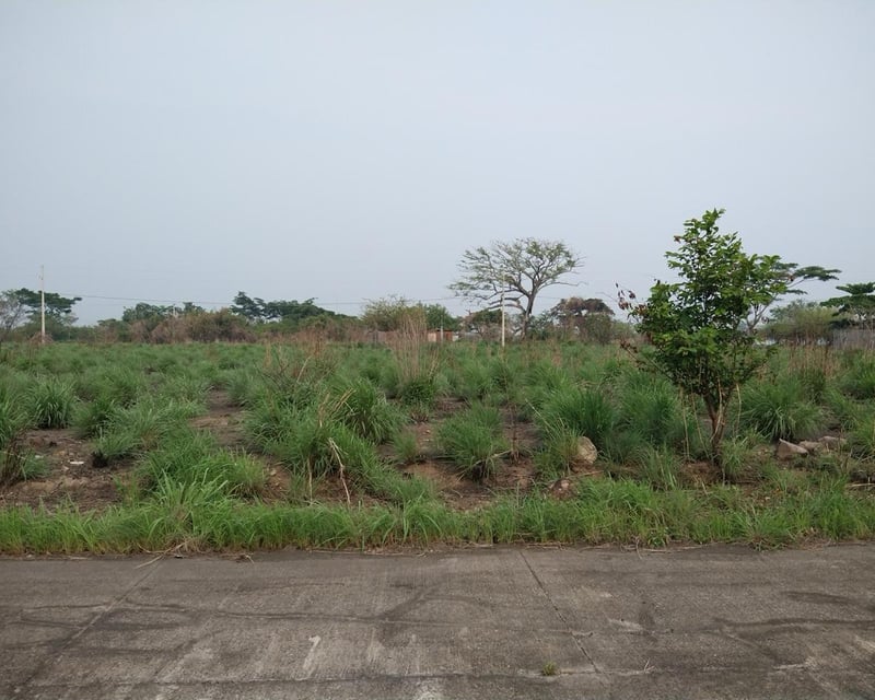 Terreno en Venta Quintas La Ponderosa, KM 77