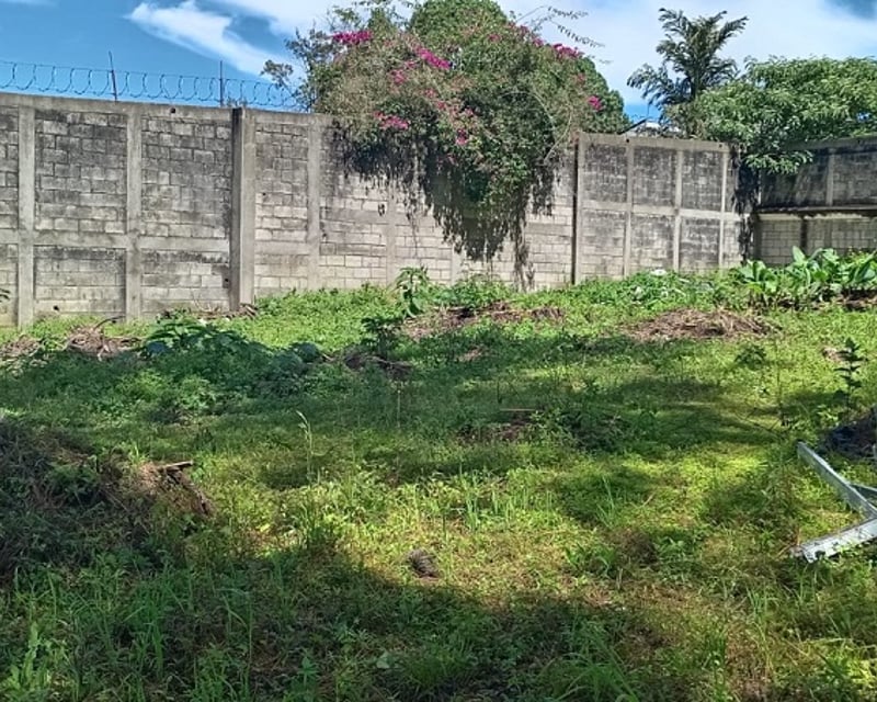 Terreno en renta, en Ciudad de Guatemala