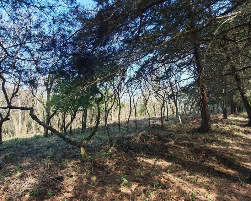 Casa   Campo Terreno en Carretera El Salvador en Venta
