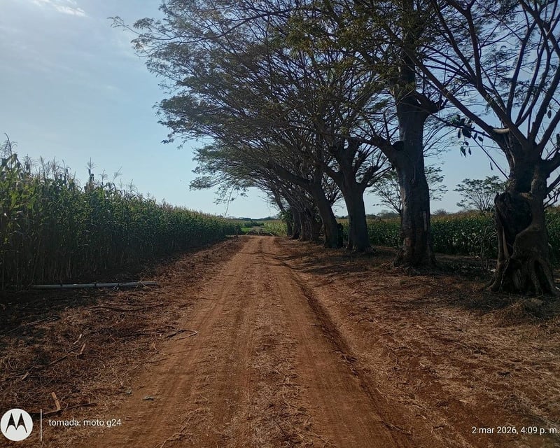 FINCA DE CACAO  EN VENTA – Retalhuleu
