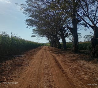 FINCA DE CACAO  EN VENTA – Retalhuleu