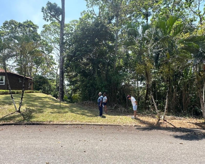 Terreno en Venta en Amatique Bay Resort