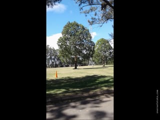 Vendo terreno en Cementerio Los Parques en Jardín las Acacias Ref-5149 - 5