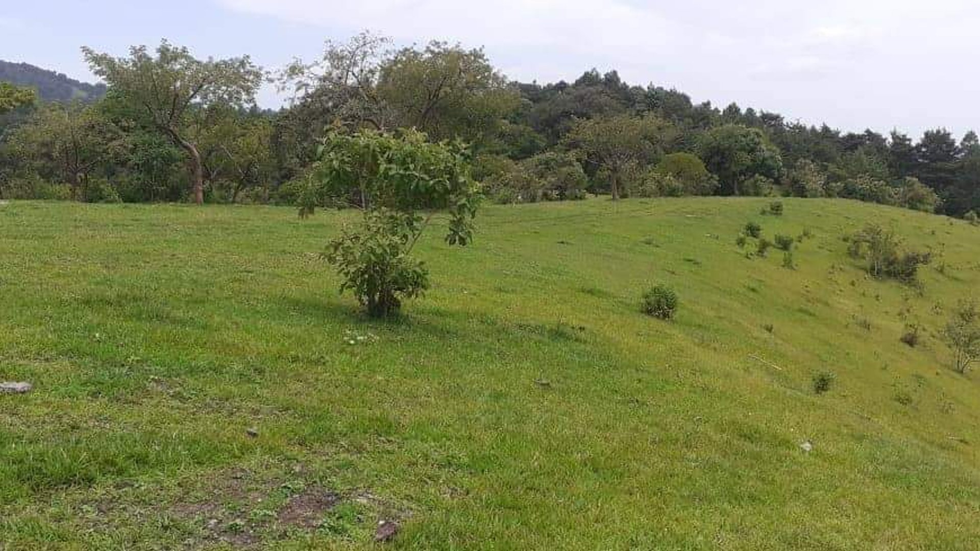 Finca de 113 Manzanas en venta Autopista Puerto Quetzal - Miniatura 6