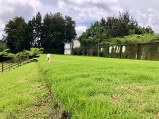 JARDIN PARA EVENTOS EN RENTA EN KM 19.5 CAES - Image 9