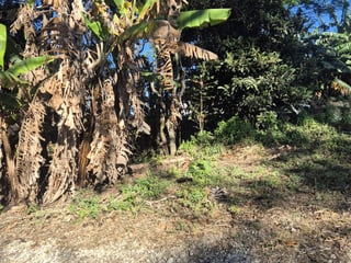 Terreno en Venta Carretera a Colmenas Guatemala - Image 12