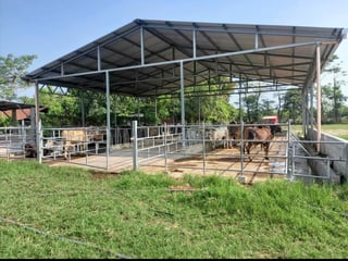 24 manzanas a la venta, Cuyuta Mazagua Escuintla.  - Image 4