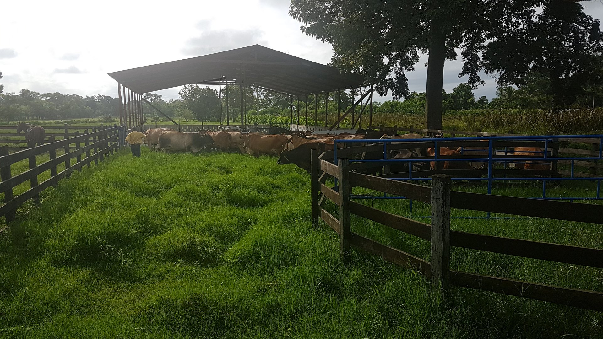FINCA EN VENTA EN ALDEA EL SAUCE  - Miniatura 20