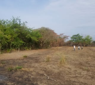 TERRENO COMERCIAL EN VENTA
