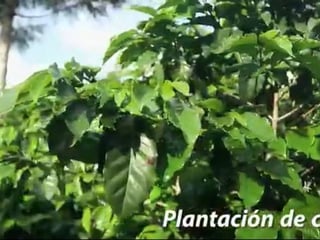 Terreno en venta en Antigua Guatemala. - 2