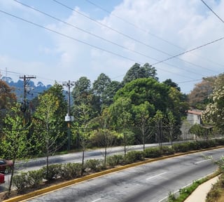 Terreno Comercial en Renta Ruta Interamericana Sn Lucas