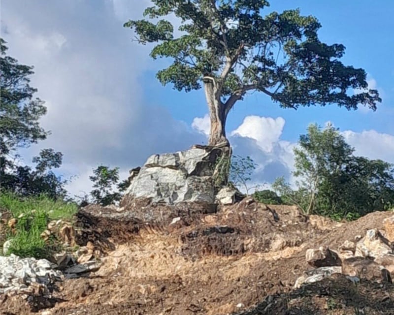 *Venta de Finca con 2 Canteras de Carbonato de Calcio | El Progreso*