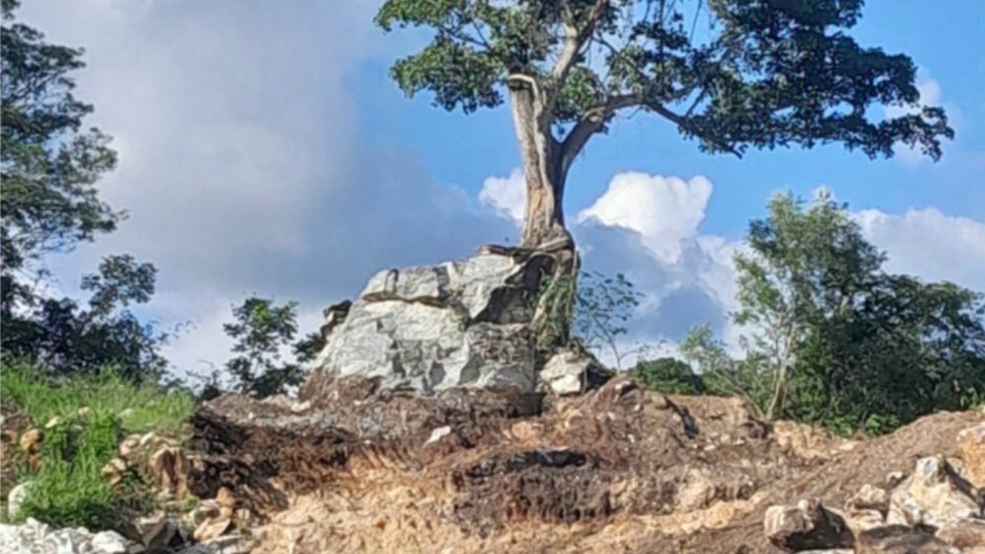 *Venta de Finca con 2 Canteras de Carbonato de Calcio | El Progreso*