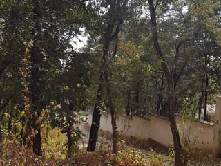 EL ENCINAL/ TERRENO EN VENTA - 3