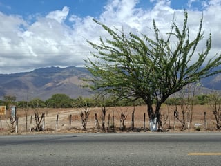 Venta de terreno de 13 manzanas en Río Hondo, Zacapa Ref-6015 - 3