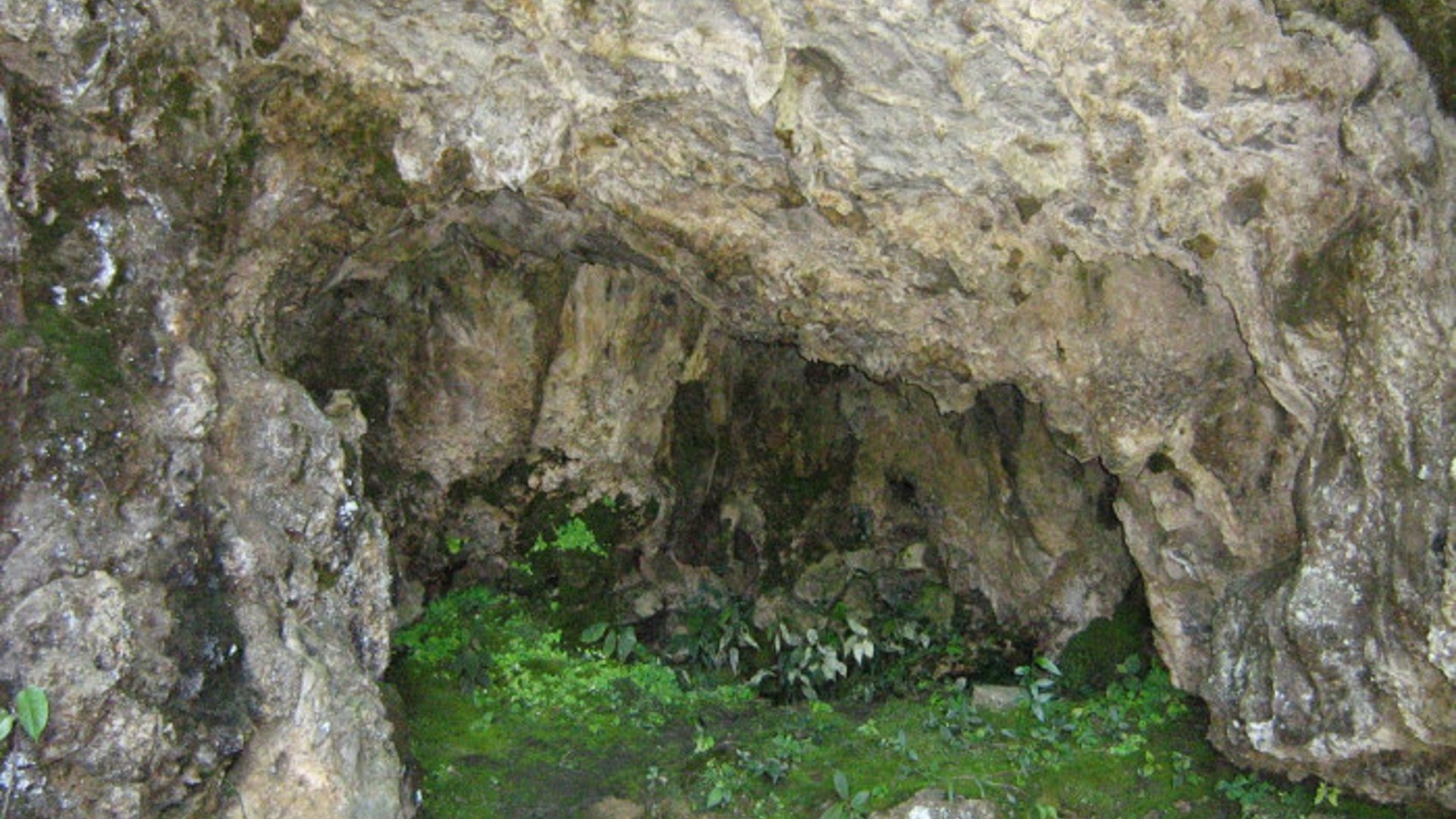 En Venta Finca San Juan Chamelco, Coban - Miniatura 6
