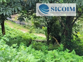 Terreno Extenso a la Venta en Santa Rosalia La Laguna - 2