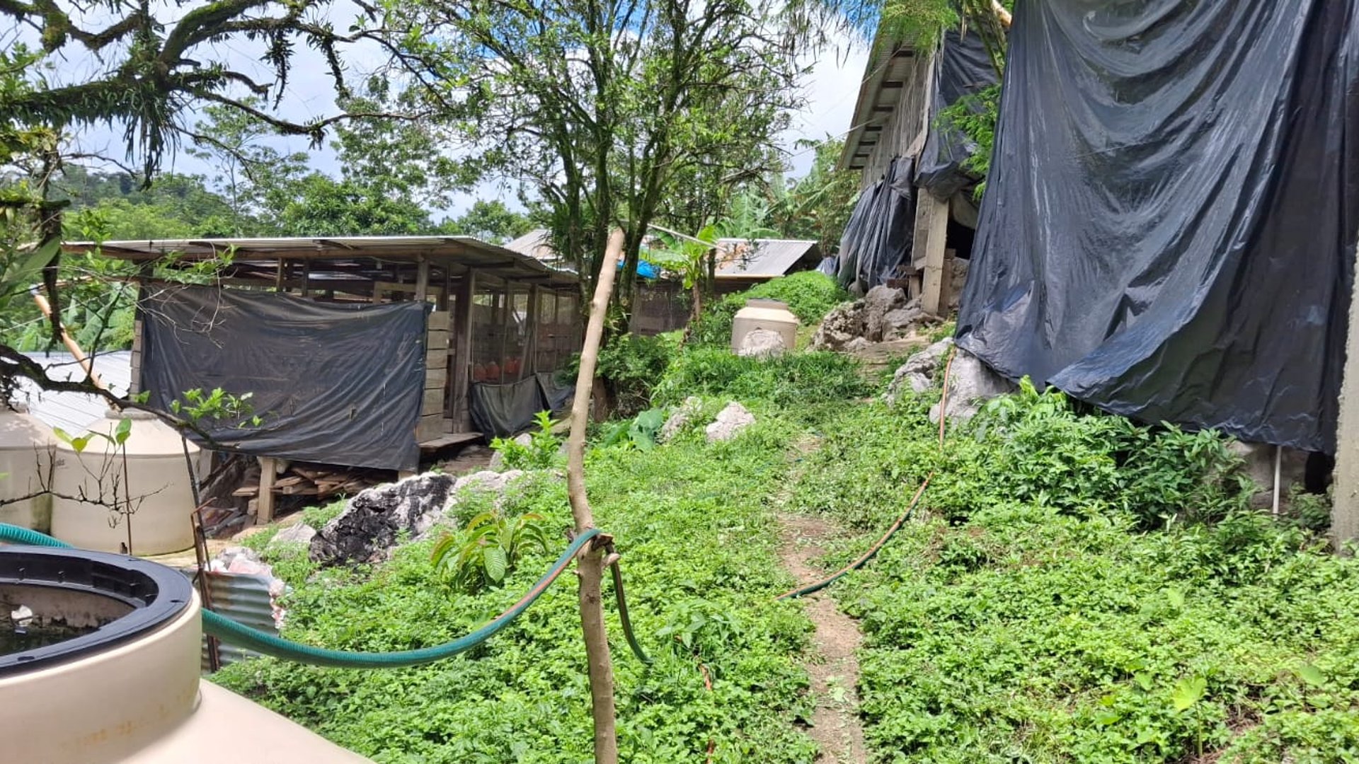 Granja en Venta en Cobán, Alta Verapaz  - Miniatura 9