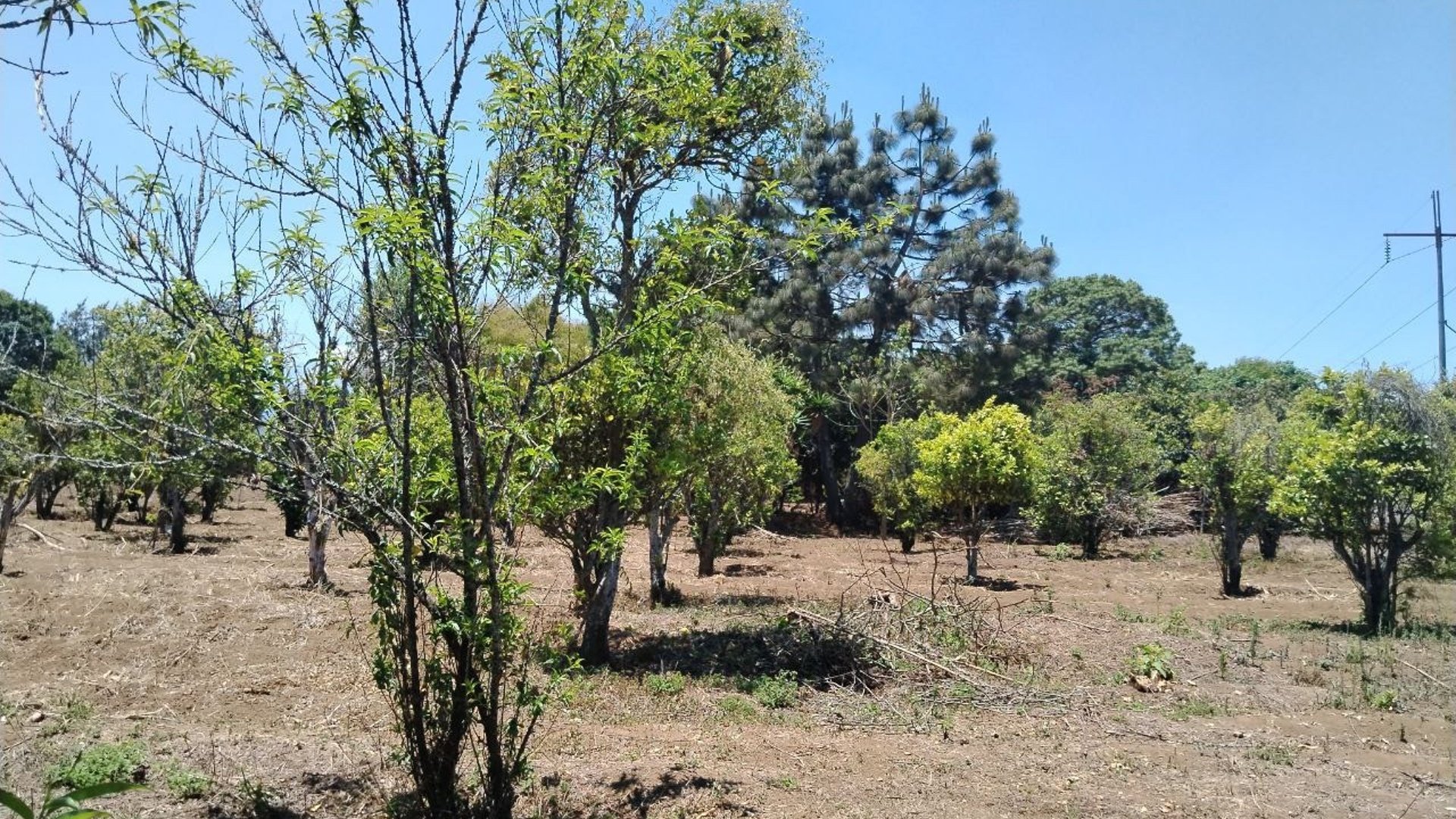 TERRENO EN VENTA EN CHIMALTENANGO - Miniatura 3