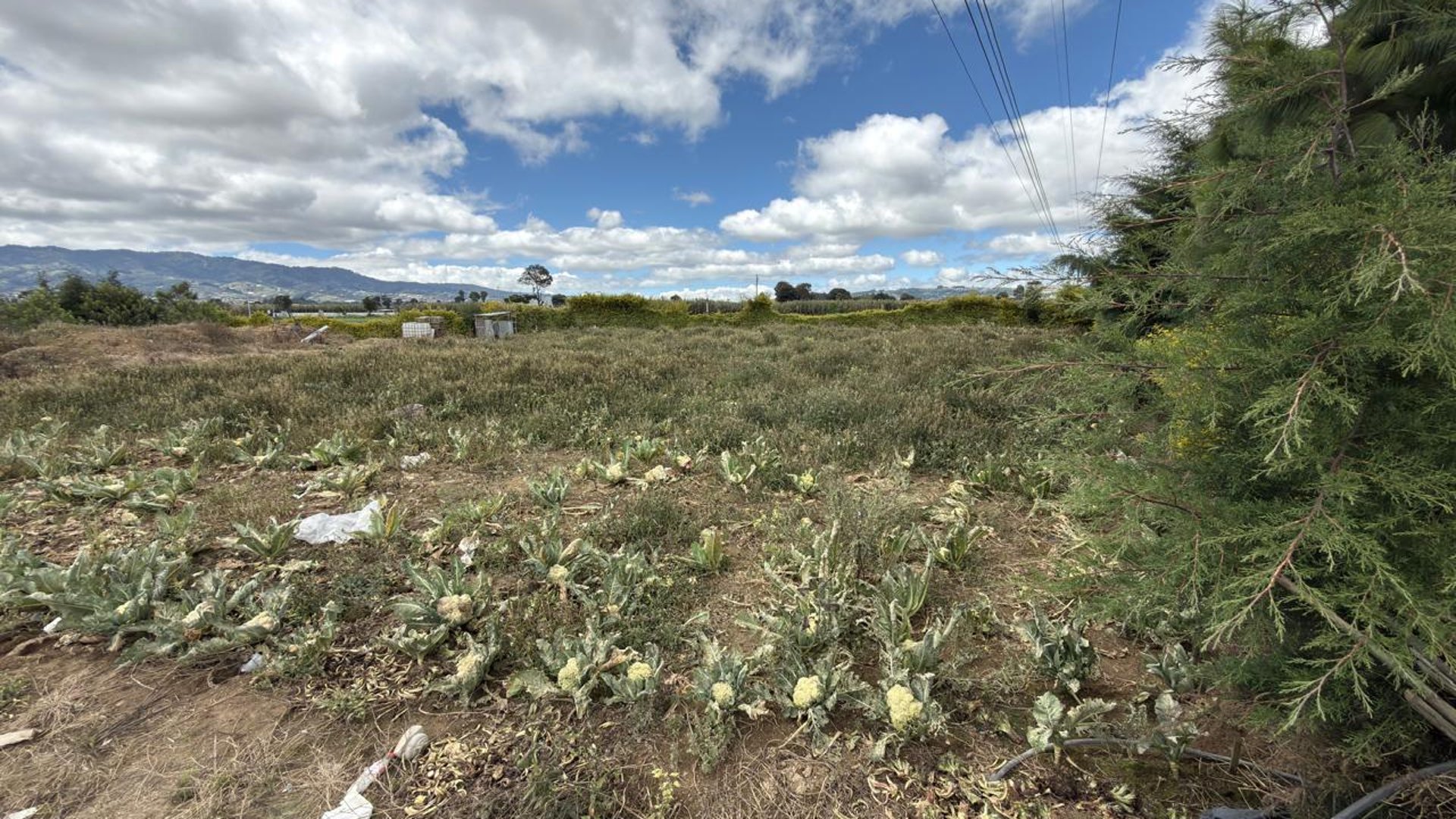 Terreno en renta en Km 72 Ruta Interamericana Patzicia, Chimaltenango - Miniatura 10