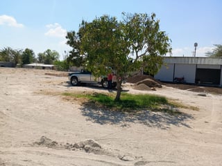 Terreno en Venta y Renta, Monjas Jalapa - 2