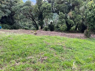 TERRAVISTA/ Terreno en Venta, CES - 3