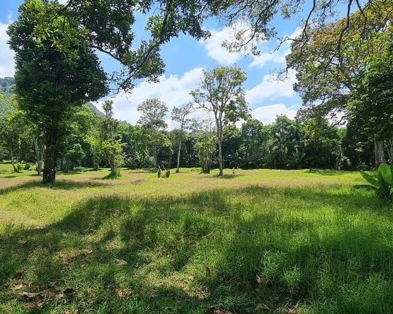 Terreno en Venta para Desarrollo | Carretera a Santa Elena Barillas