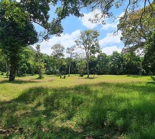 Terreno en Venta para Desarrollo | Carretera a Santa Elena Barillas