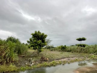 Terrenos en venta en Condominio Quintas La Ponderosa - 4