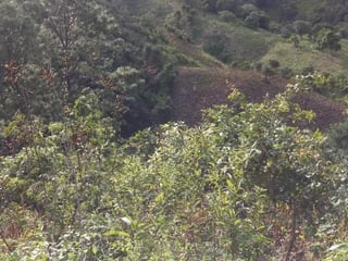 Finca en venta en San Pedro Ayampuc de 7.6 Manzanas - Image 14