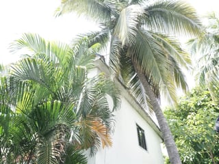 CASA EN RENTA EN IZTAPA, ESCUINTLA - 3