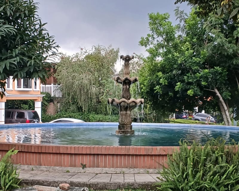 TERRENO EN VENTA EN SAN MARTIN DE ALLENDE - CES