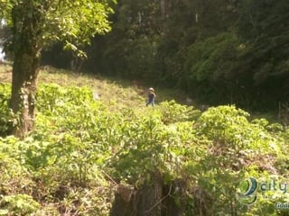 Terreno en Venta para desarrollar cienaga grande - 2