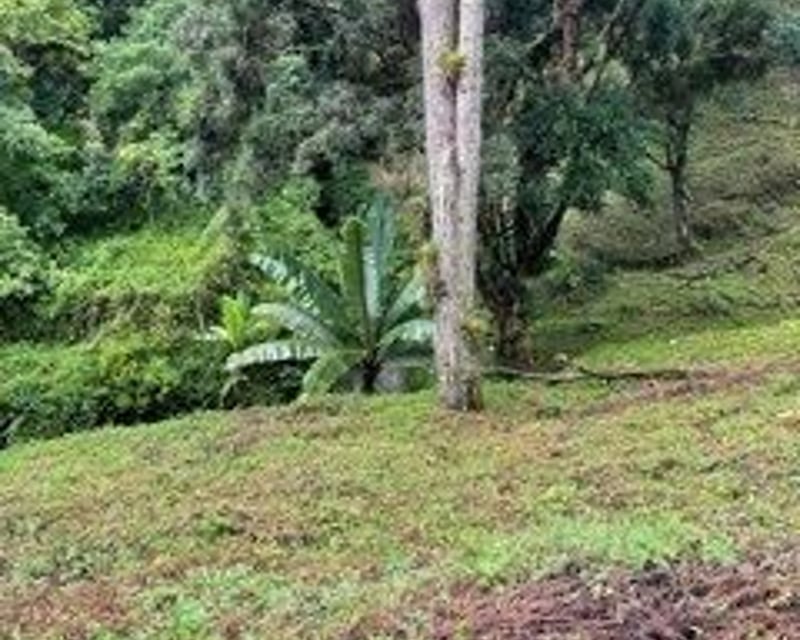 Terreno en VENTA en Muxbal, CES