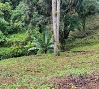Terreno en VENTA en Muxbal, CES