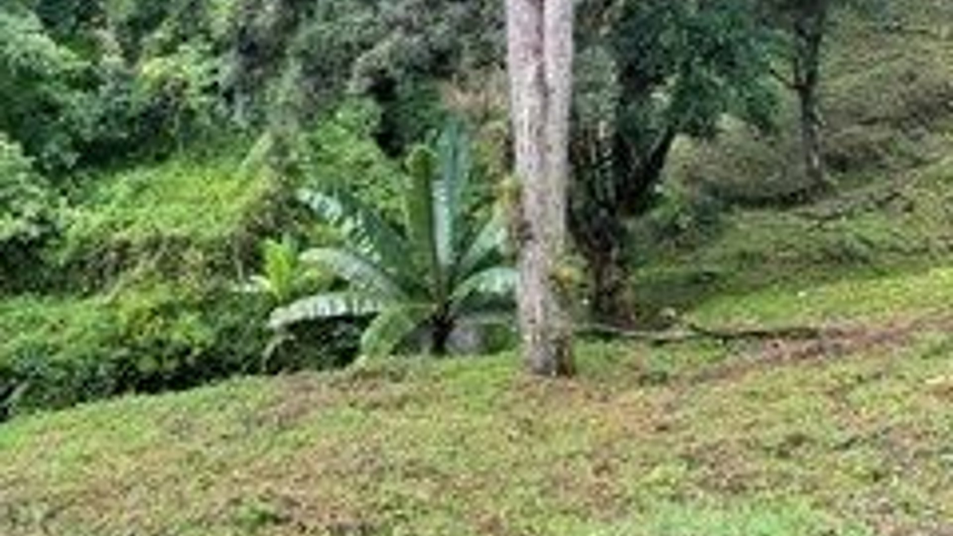 Terreno en VENTA en Muxbal, CES