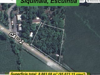 Land for Rent in Escuintla, km 79 route to Siquinala - Image 7