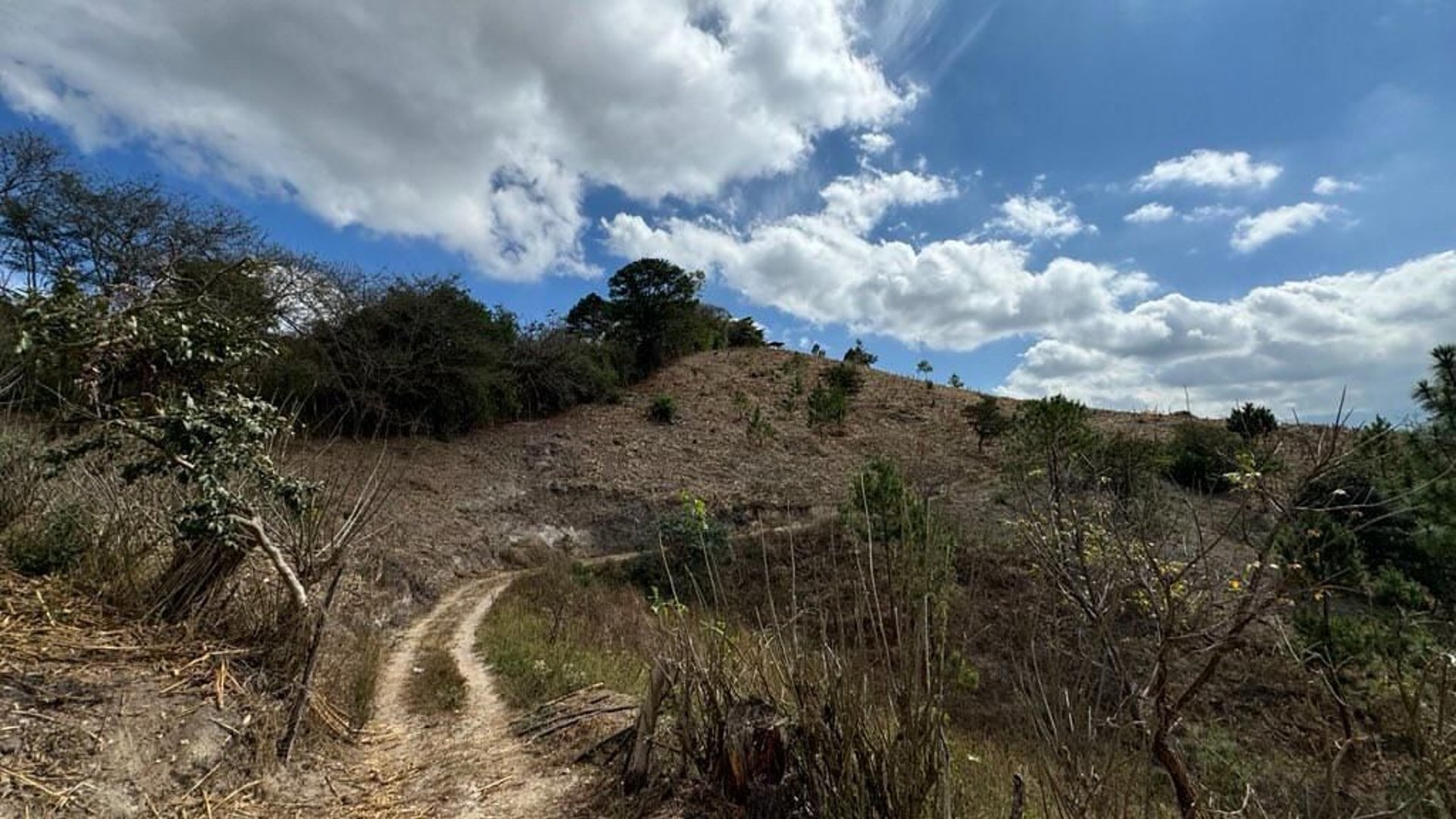 SAN PEDRO AYAMPUC/ FINCA EN VENTA PARA DESARROLLO - Miniatura 5