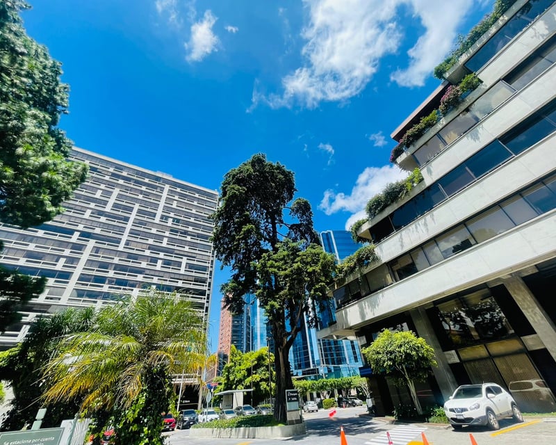 ALQUILER DE OFICINAS - LAS MARGARITAS, ZONA 10