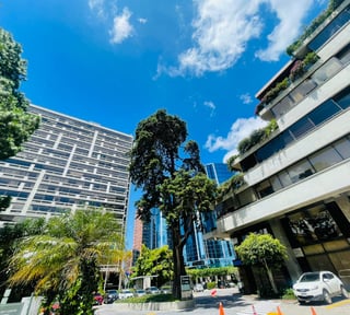 ALQUILER DE OFICINAS - LAS MARGARITAS, ZONA 10 