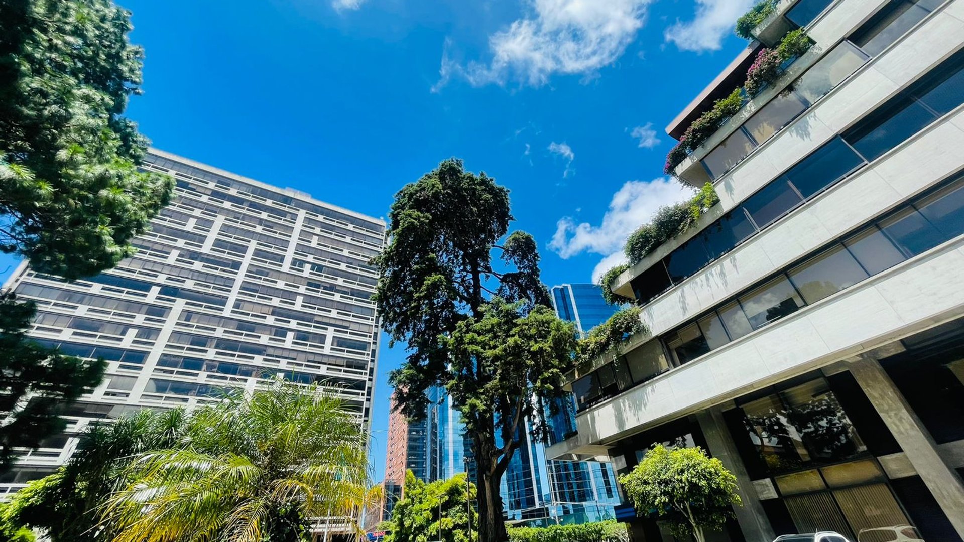 ALQUILER DE OFICINAS - LAS MARGARITAS, ZONA 10 