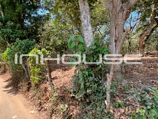 TERRENO EN VENTA EN SANTA ELENA BARILLAS - Image 2