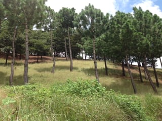 PROPIEDAD  GRANDE EN ZONA 18 EN VENTA - 5