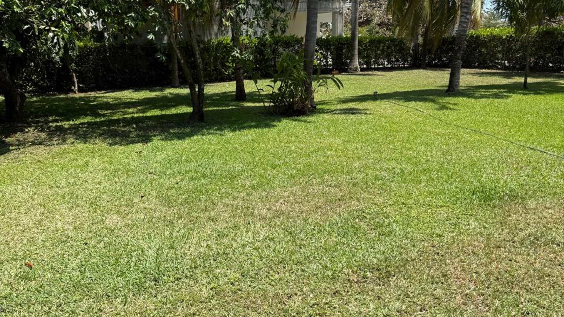 ALTAMAR 3 TERRENOS CASA EN VENTA - Miniatura 3